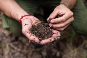 Agriculture Schemes in India